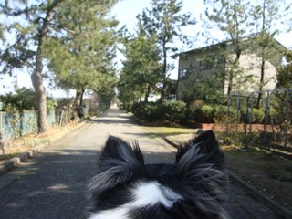 f:id:fighting_ferret:20180313184737j:plain