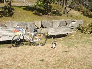 f:id:fighting_ferret:20180313184755j:plain