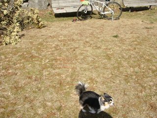 f:id:fighting_ferret:20180313184820j:plain