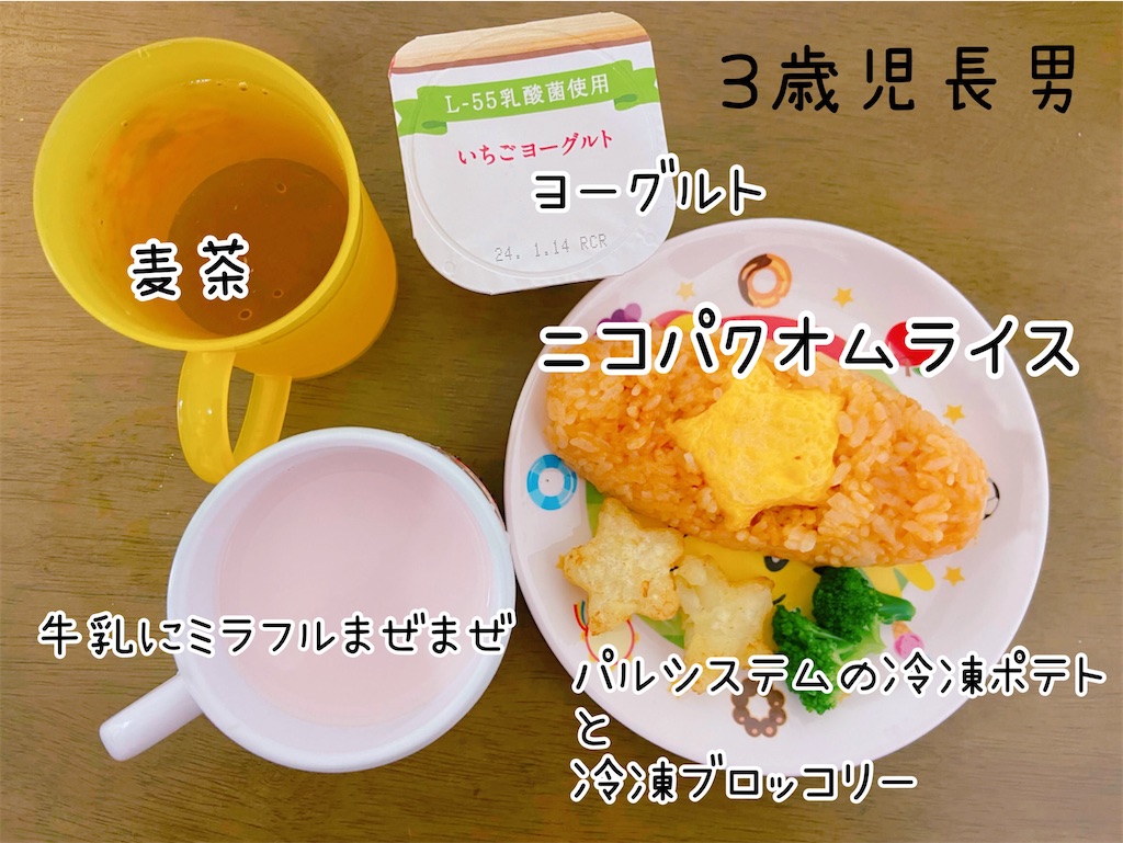 f:id:fightingmom2:20240131234248j:image