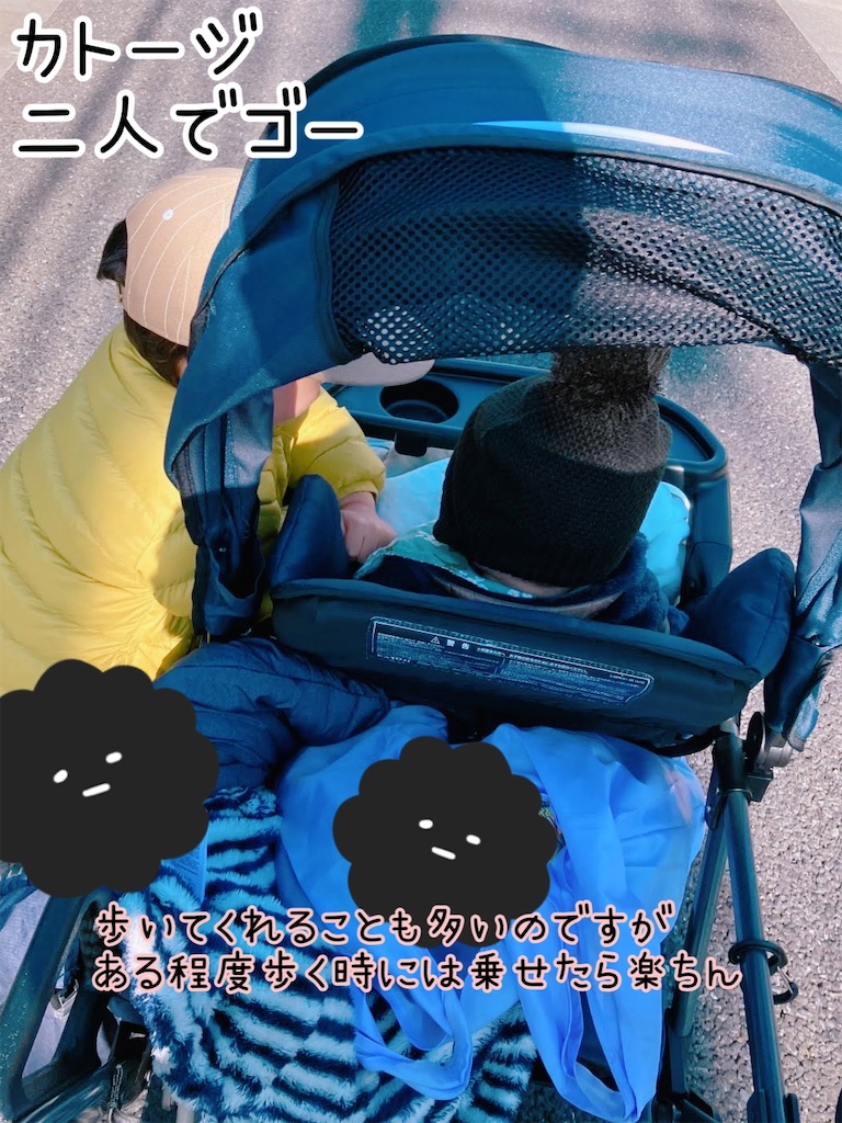 f:id:fightingmom2:20240131235210j:image