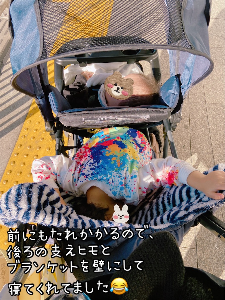 f:id:fightingmom2:20240411121427j:image f:id:fightingmom2:20240411121427j:image