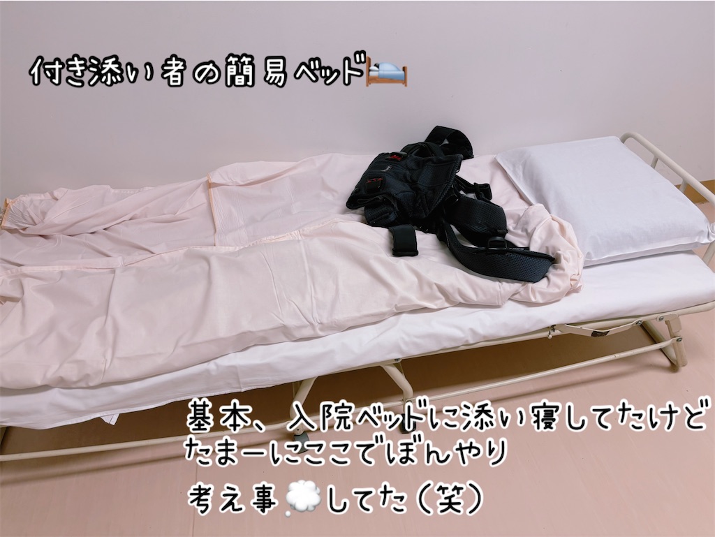 f:id:fightingmom2:20250322154123j:image