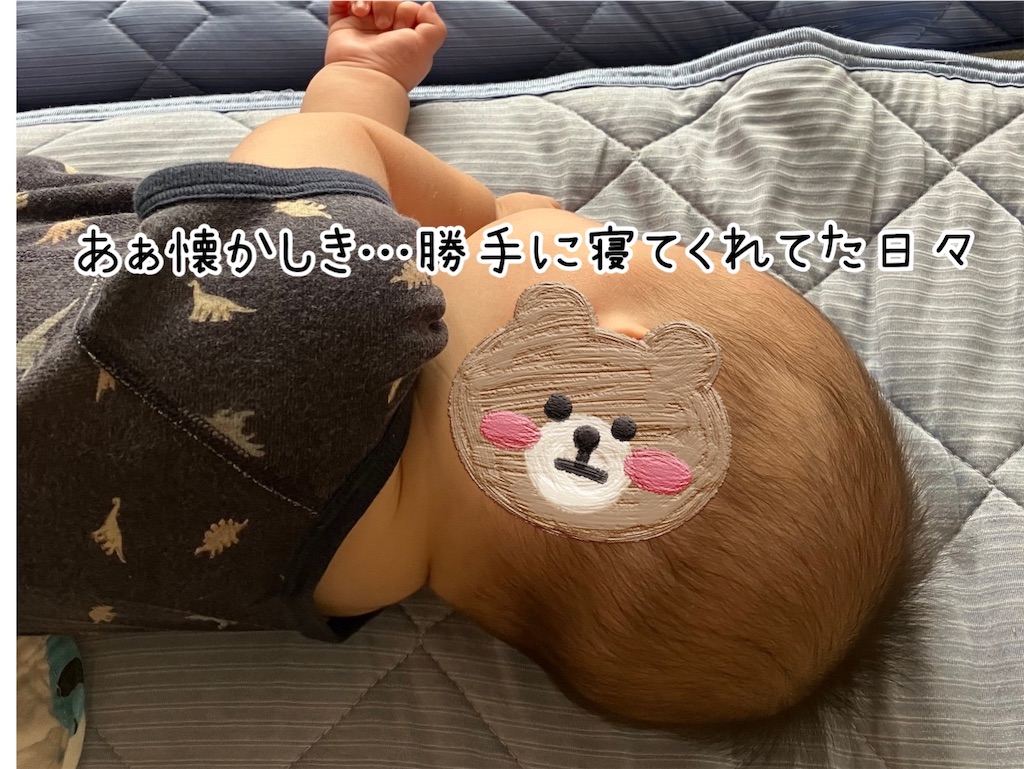 f:id:fightingmom2:20250324190650j:image