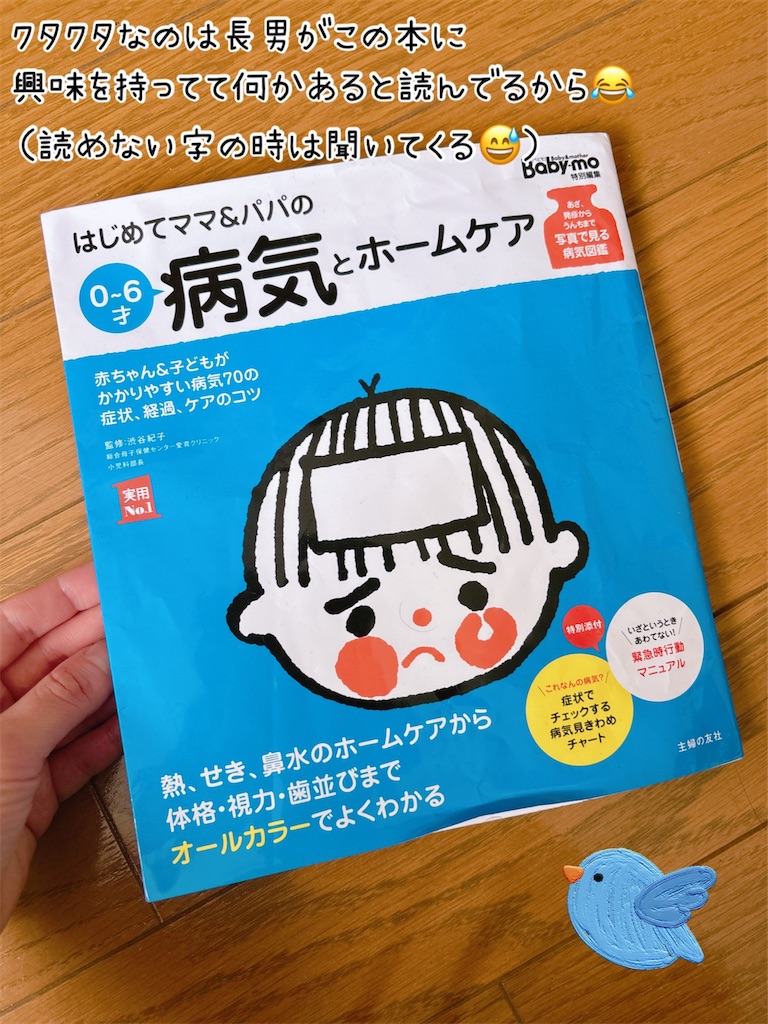 f:id:fightingmom2:20250414113516j:image