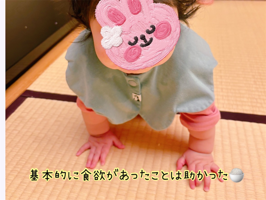 f:id:fightingmom2:20250414115548j:image