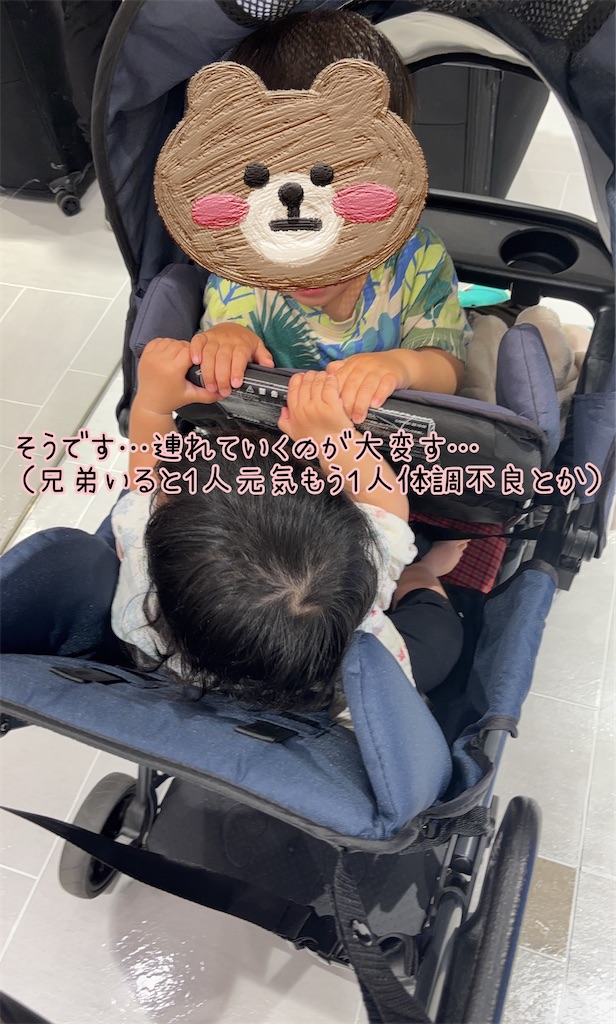 f:id:fightingmom2:20250520124145j:image