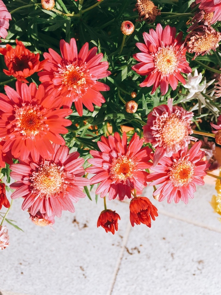 f:id:fikajikan:20190826085938j:image