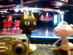 f:id:filinion:20090111142823j:image