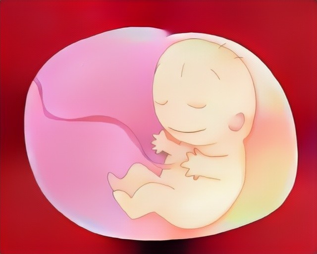 f:id:filinion:20190623010118j:plain:w550