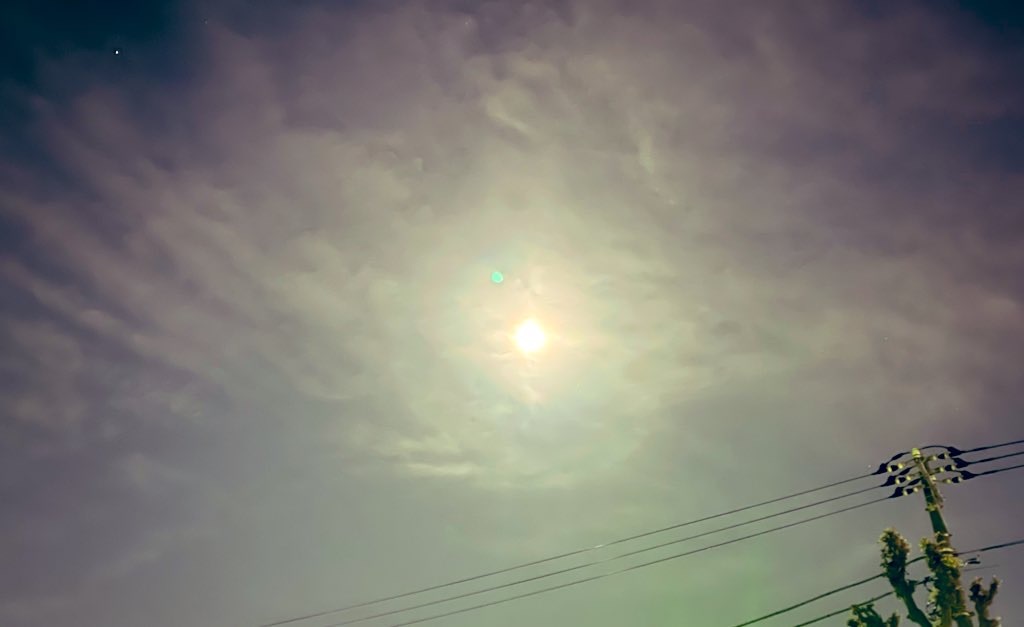 f:id:fillintheblanks:20220417011533j:image
