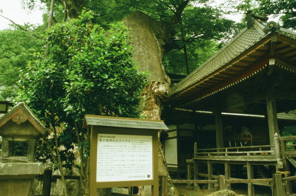 f:id:film_camera:20160703011539j:plain