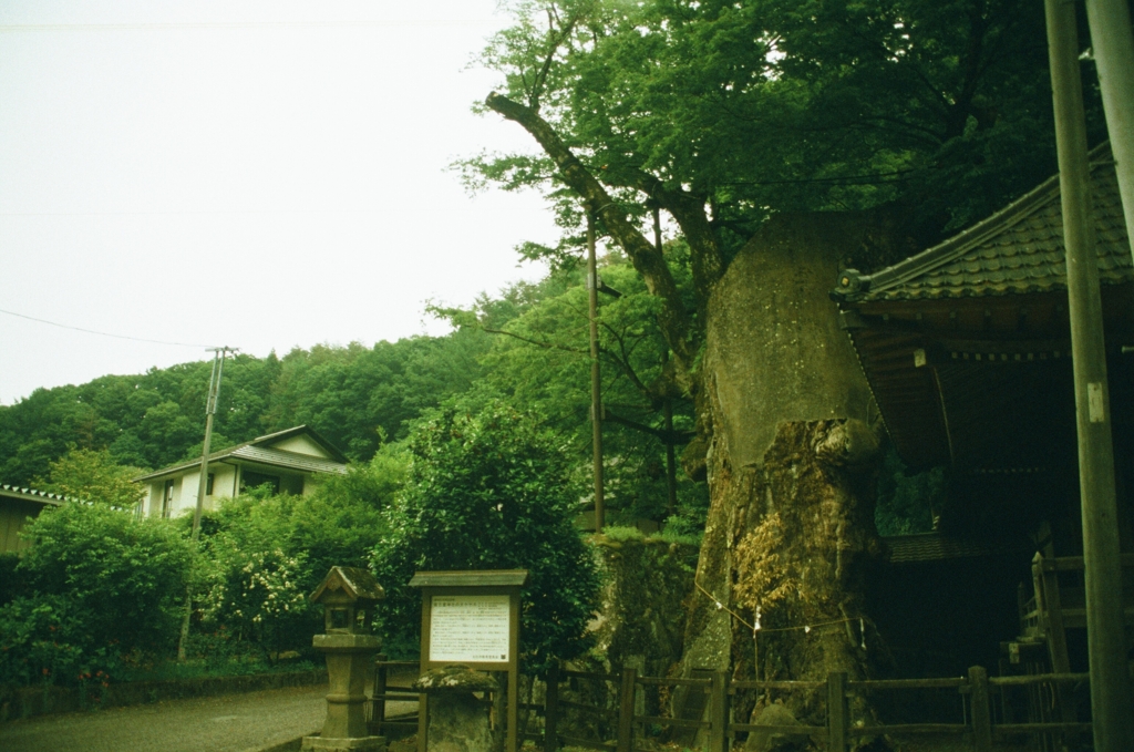 f:id:film_camera:20160703011609j:plain