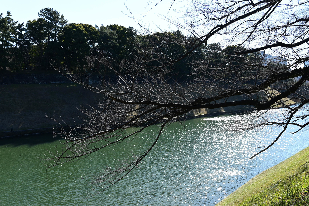 f:id:filmbeatle:20220122185031j:plain
