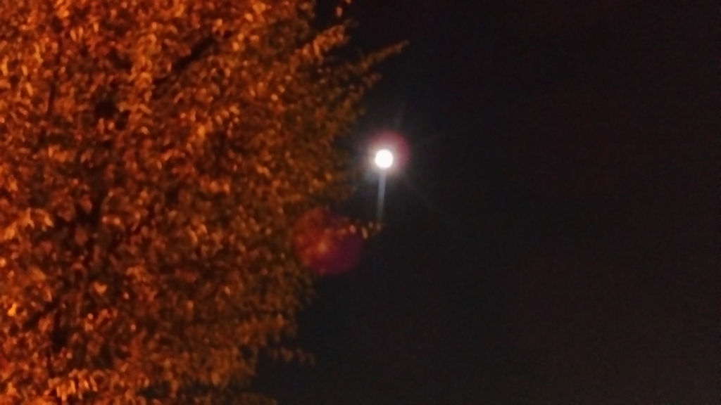 f:id:filmincasa:20161115043123j:plain