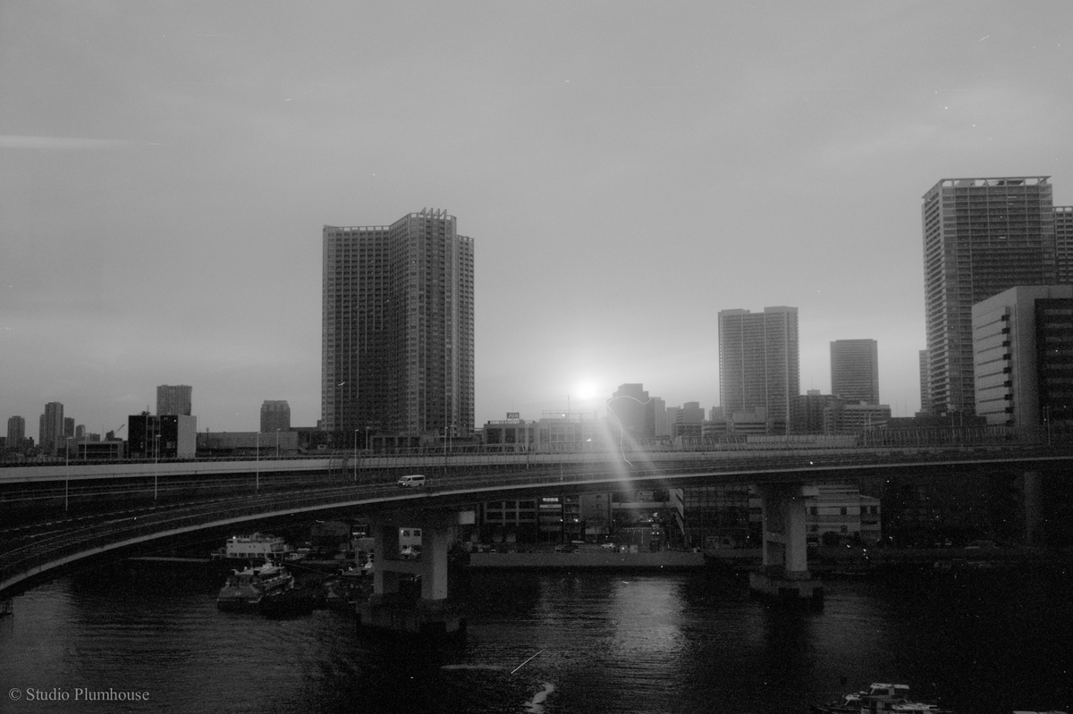 f:id:filmmer:20190531085220j:plain f:id:filmmer:20190531085220j:plain