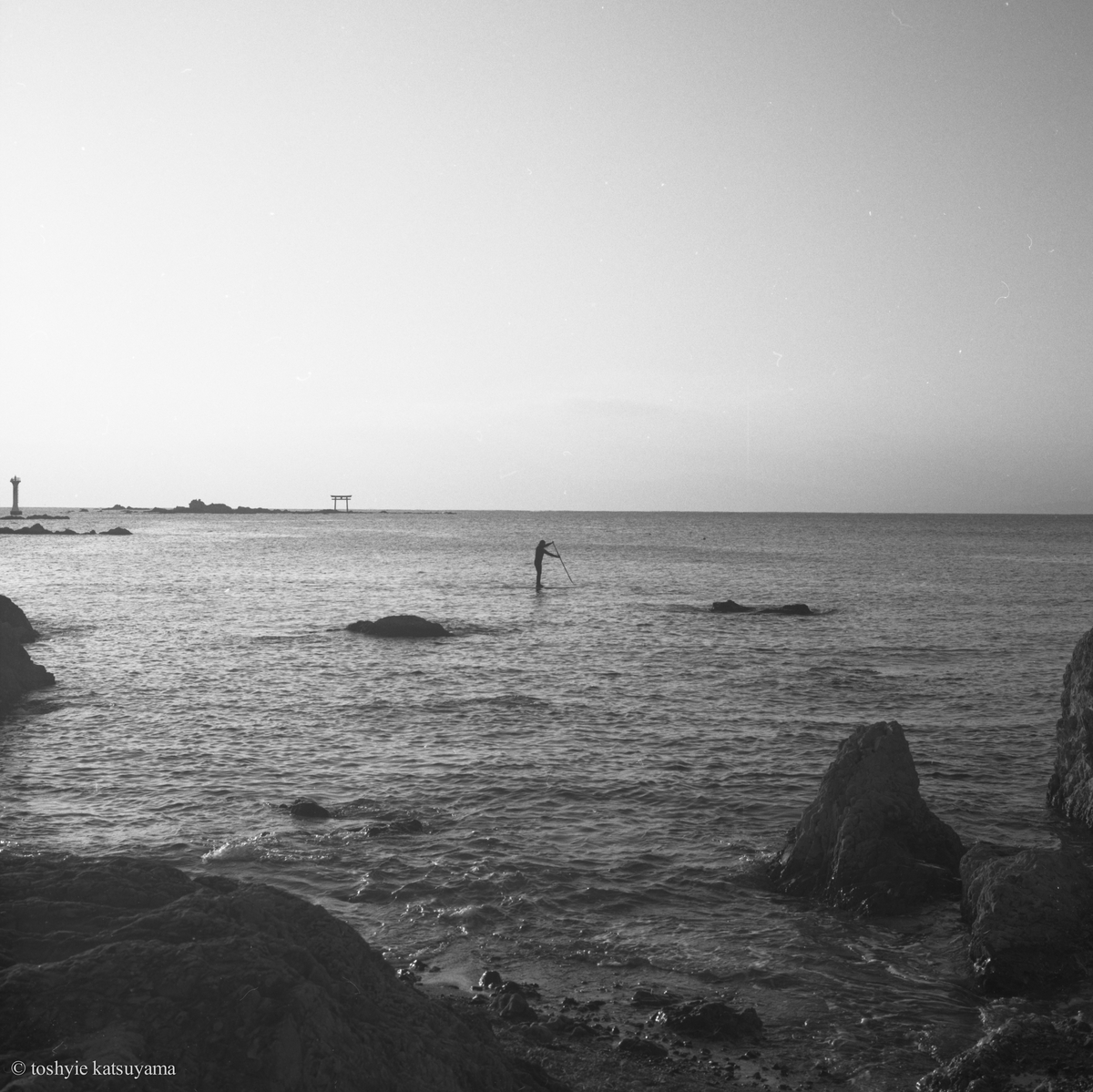 f:id:filmmer:20201231102804j:plain