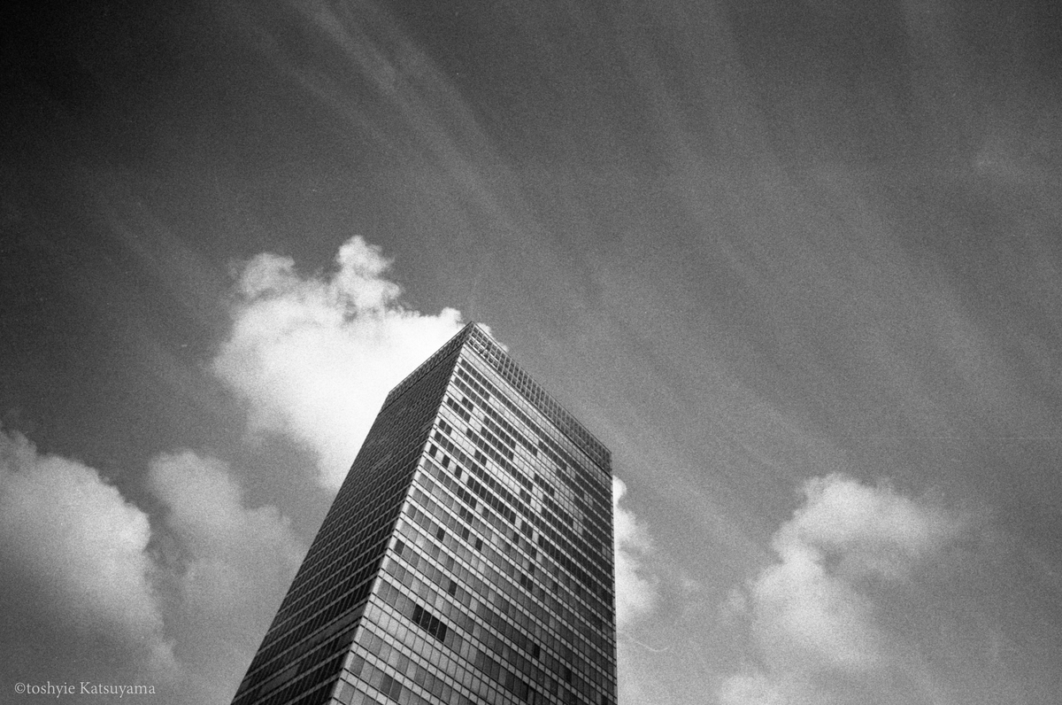 光の粒をとらえるシネマフィルム - スロウでアナログな日々