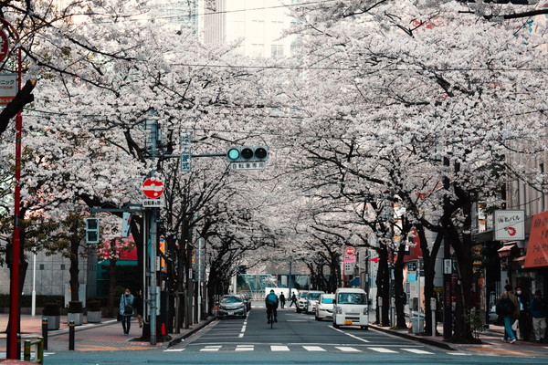 f:id:filmofilm:20190215141859j:plain