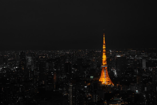 f:id:filmofilm:20190215142104j:plain