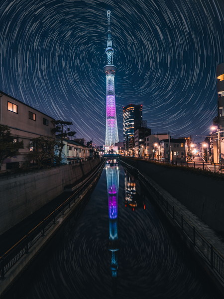 f:id:filmofilm:20190215142128j:plain