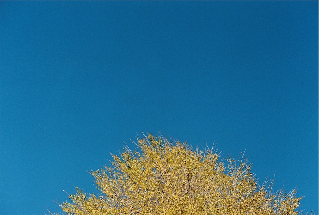 f:id:filmzine:20171230120615j:image