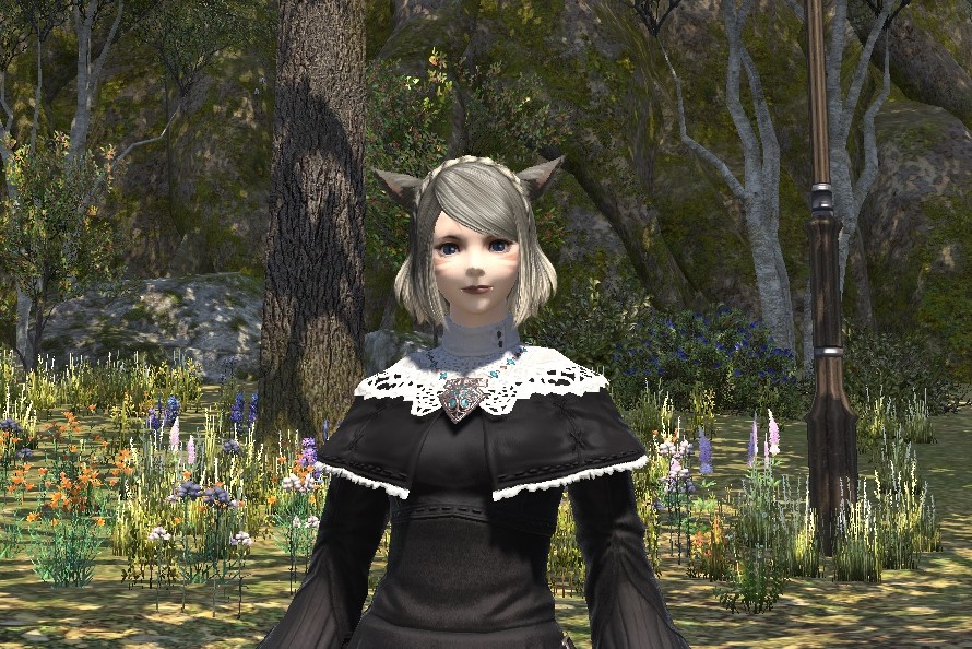 Ff14 モグコレチャレンジ ファンフェス ヘアカタログ 編込カチューシャ 三日坊主の日々