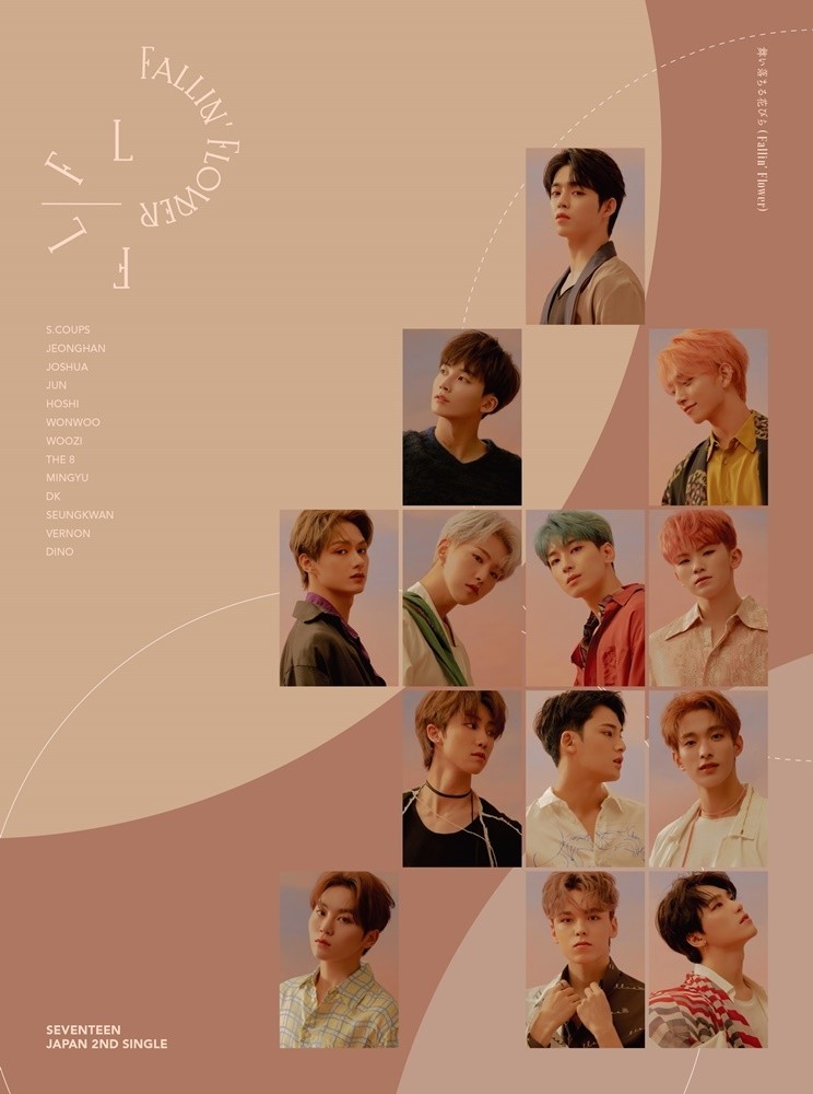 舞い落ちる花びら Seventeen Transparency