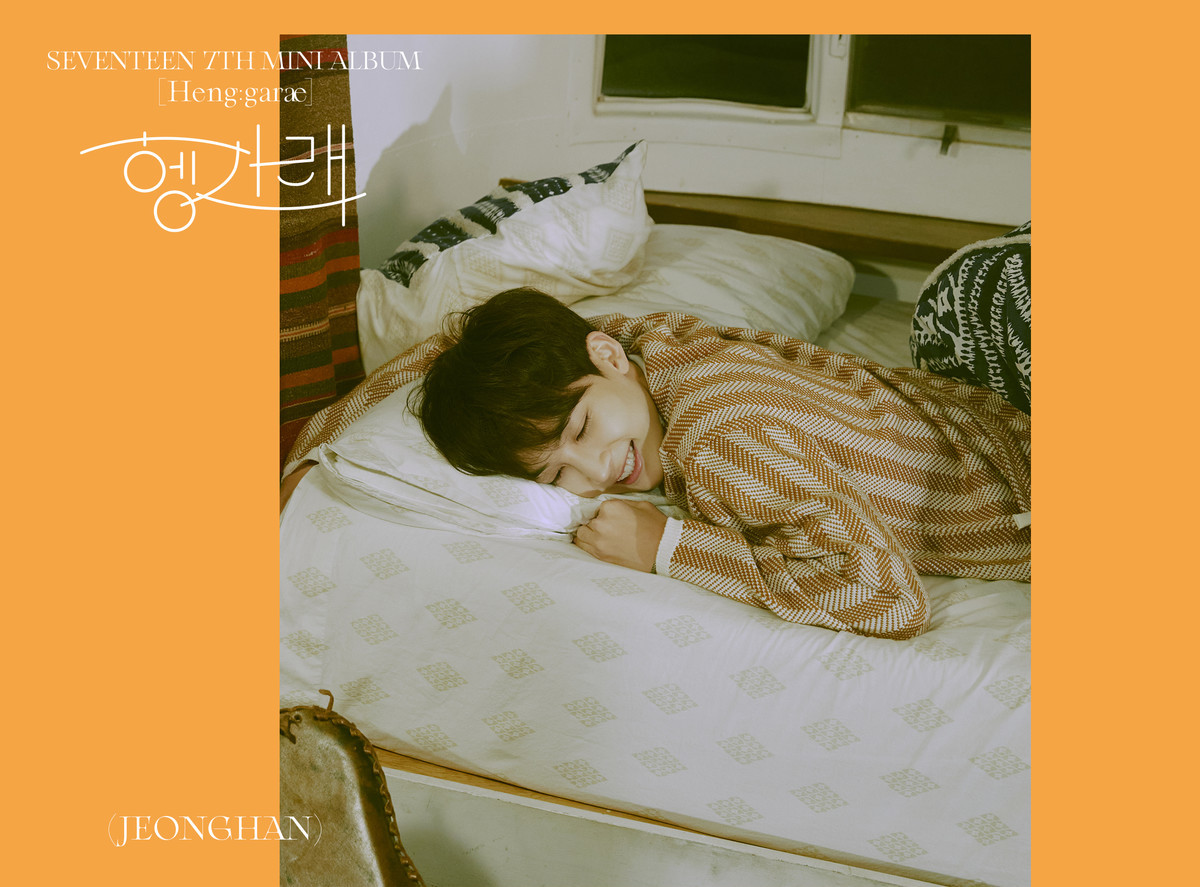 헹가래[Heng:garæ]/SEVENTEEN - transparency