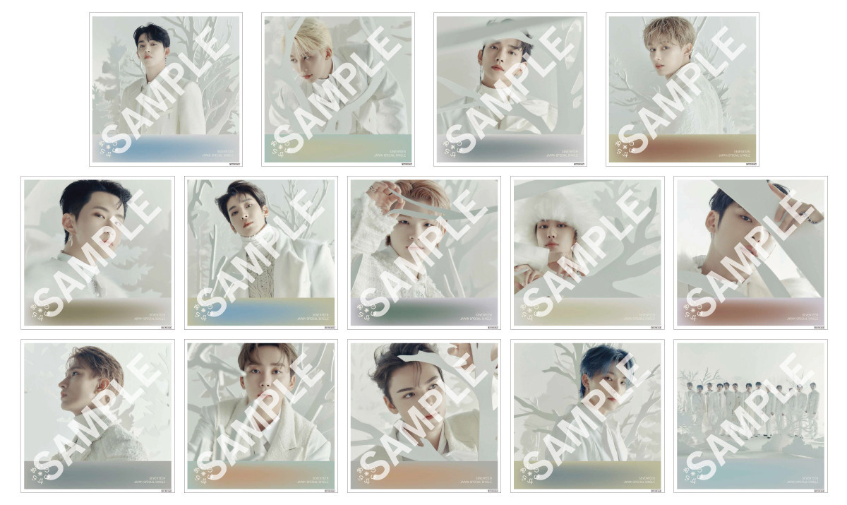 あいのちから ディノ フライヤー メガジャケ あいのちから ディノ フライヤー メガジャケ SEVENTEEN JAPAN SPECIAL