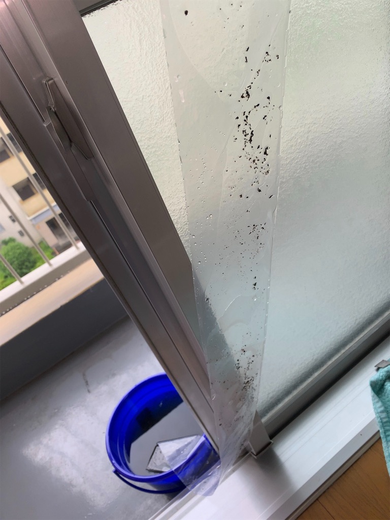 f:id:finaljacket:20190607213020j:image f:id:finaljacket:20190607213020j:image