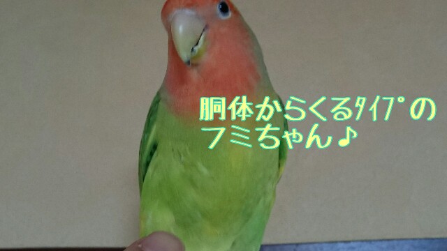 f:id:finalpacific:20170615163834j:image f:id:finalpacific:20170615163834j:image