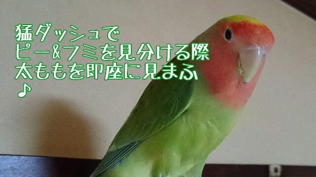 f:id:finalpacific:20170615164023j:image f:id:finalpacific:20170615164023j:image