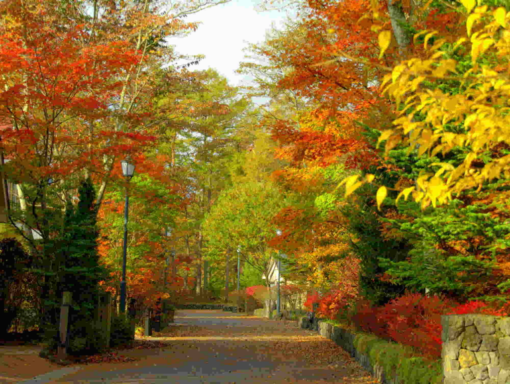 f:id:financemgr:20161120210810j:plain