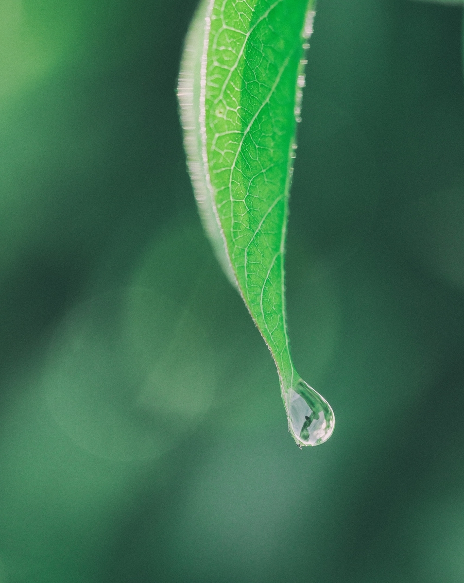 f:id:financial_freedom:20190324225935j:plain