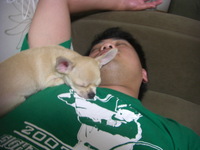 f:id:fine-beauty:20070624212642j:image:right
