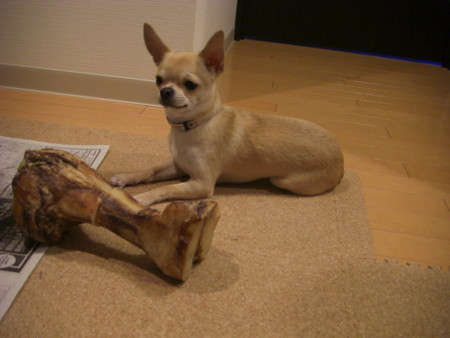 f:id:fine-beauty:20080330180328j:image