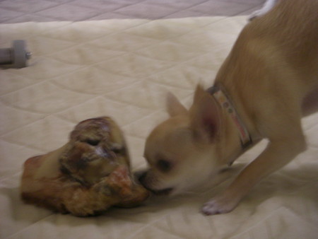f:id:fine-beauty:20080330183806j:image