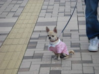 f:id:fine-beauty:20081004164535j:image f:id:fine-beauty:20081004164535j:image