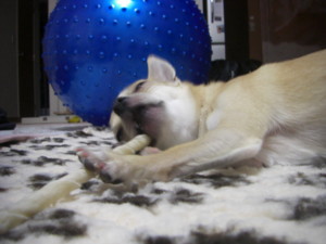 f:id:fine-beauty:20081019202421j:image f:id:fine-beauty:20081019202421j:image