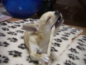 f:id:fine-beauty:20081019202519j:image f:id:fine-beauty:20081019202519j:image