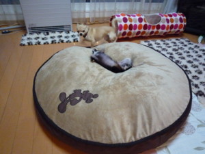f:id:fine-beauty:20090301173611j:image f:id:fine-beauty:20090301173611j:image