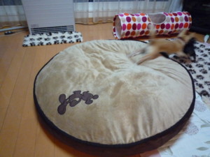 f:id:fine-beauty:20090301173615j:image f:id:fine-beauty:20090301173615j:image