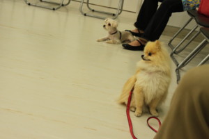 f:id:fine-beauty:20090802134149j:image