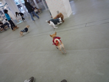 f:id:fine-beauty:20091108154346j:image f:id:fine-beauty:20091108154346j:image