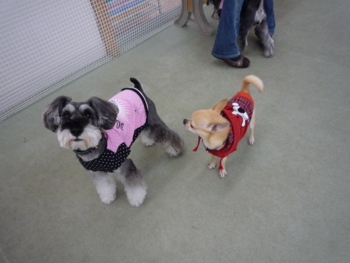 f:id:fine-beauty:20091108161937j:image f:id:fine-beauty:20091108161937j:image