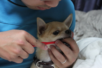 f:id:fine-beauty:20091111213214j:image
