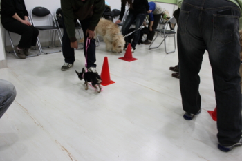 f:id:fine-beauty:20091115140513j:image