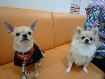 f:id:fine-beauty:20100102140952j:image