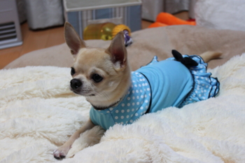 f:id:fine-beauty:20100104231557j:image